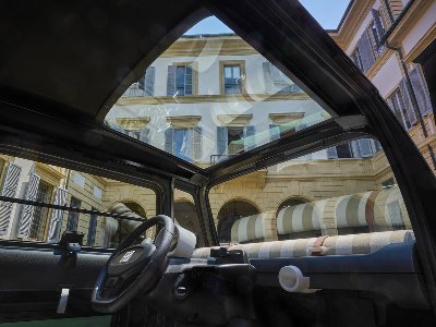 Topolino